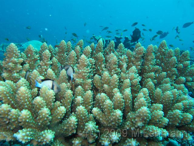 IMG_2006.JPG