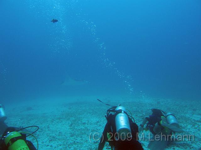 IMG_2023.JPG