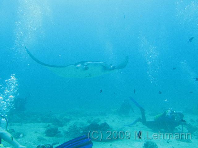 IMG_2031.JPG