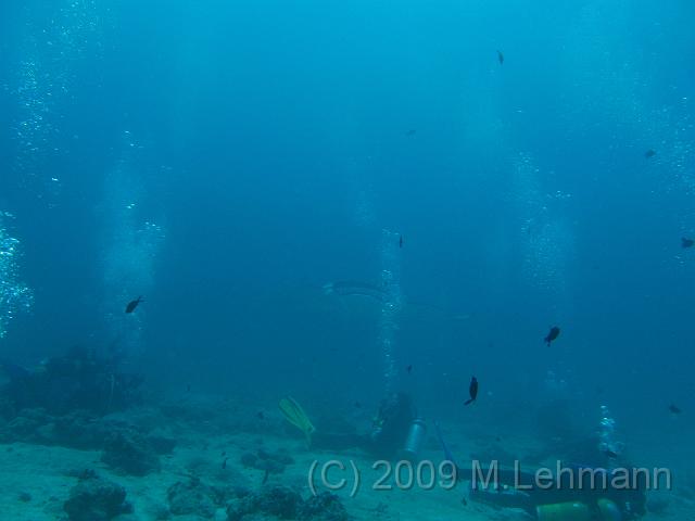 IMG_2056.JPG