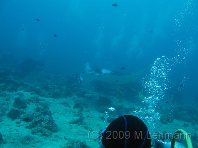 IMG_2067.JPG