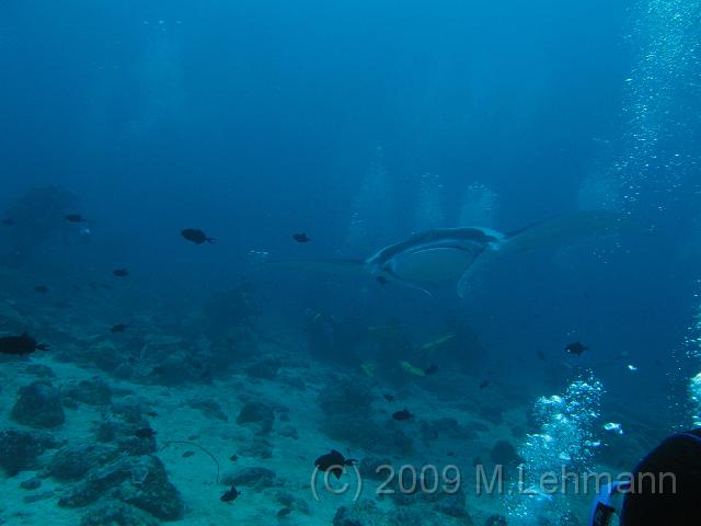 IMG_2070.JPG