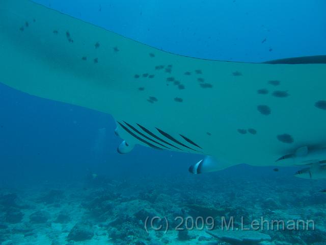 IMG_2075.JPG