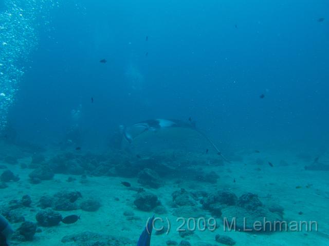 IMG_2086.JPG