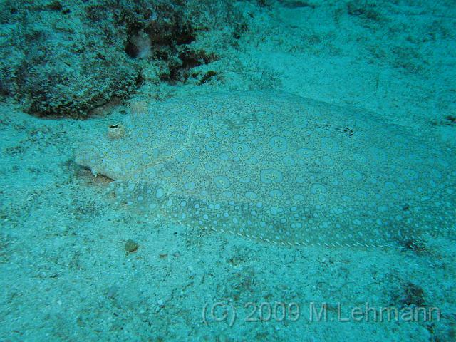 IMG_2092.JPG