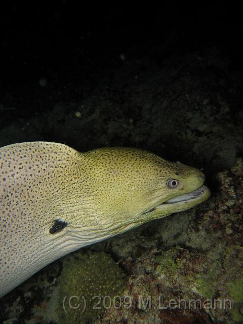 IMG_2099.JPG