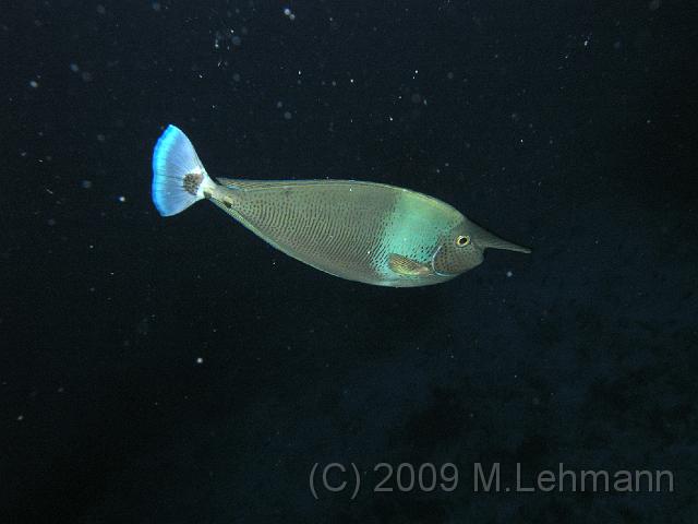 IMG_2165.JPG