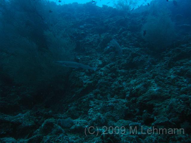IMG_2183.JPG