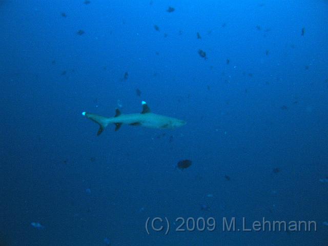 IMG_2185.JPG