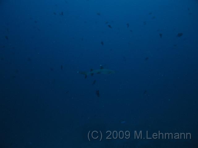 IMG_2186.JPG