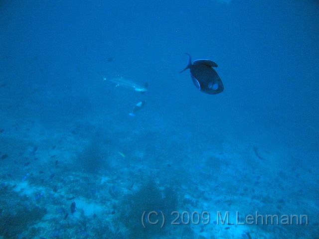 IMG_2209.JPG