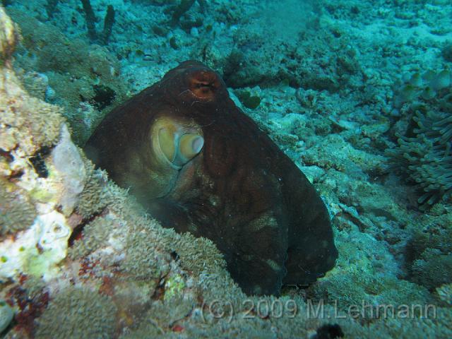 IMG_2218.JPG