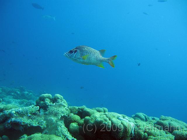 IMG_2225.JPG