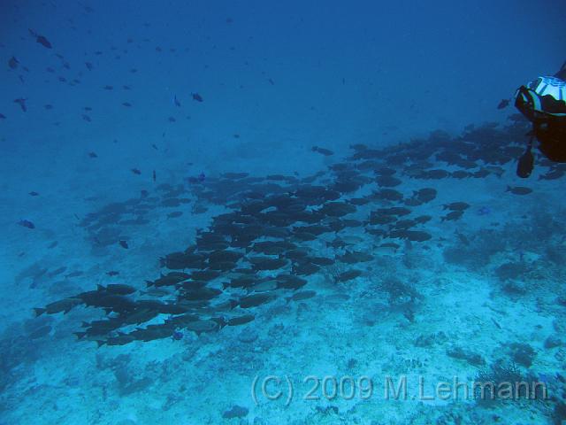 IMG_2232.JPG