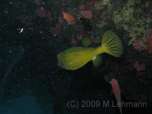 IMG_2254.JPG