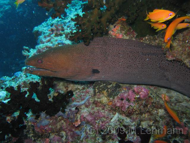 IMG_2262.JPG
