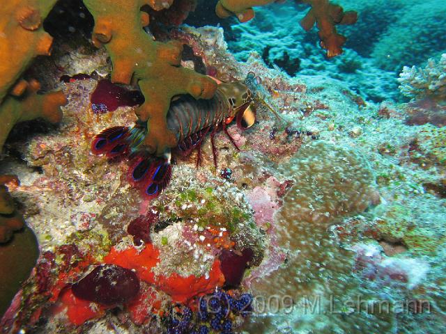 IMG_2266.JPG