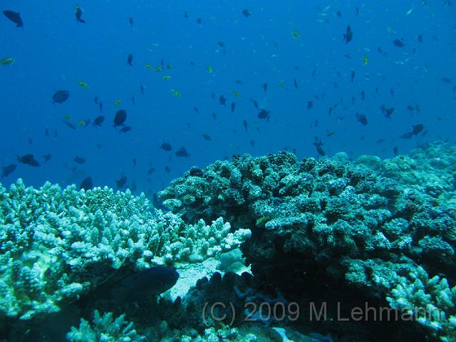 IMG_2276.JPG
