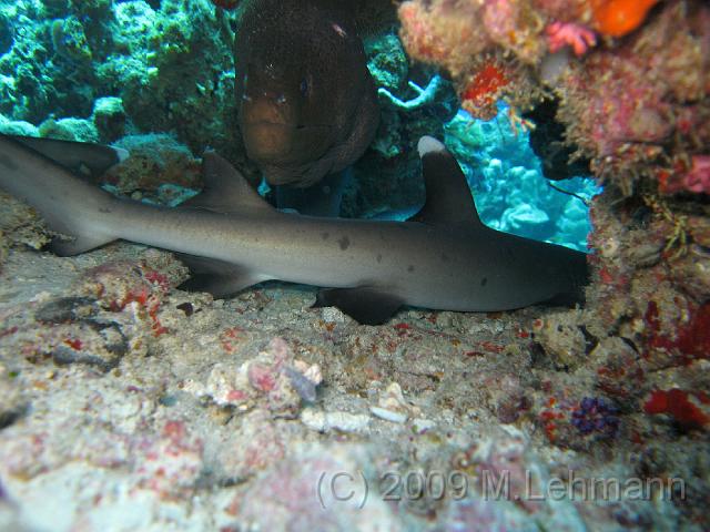 IMG_2281.JPG
