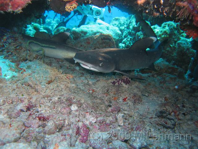 IMG_2285.JPG