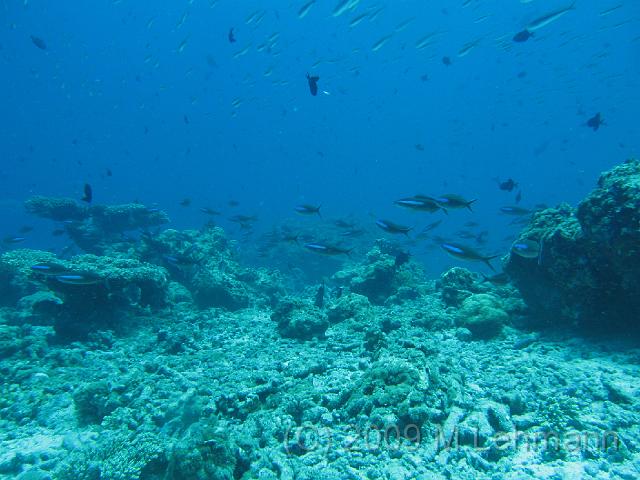 IMG_2288.JPG