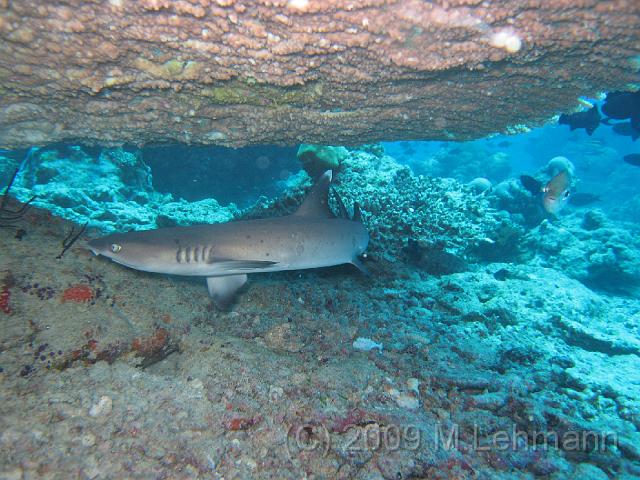 IMG_2294.JPG