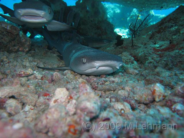 IMG_2297.JPG
