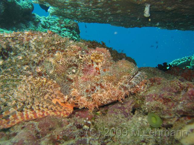 IMG_2304.JPG