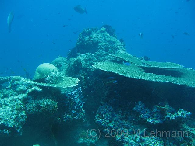 IMG_2312.JPG
