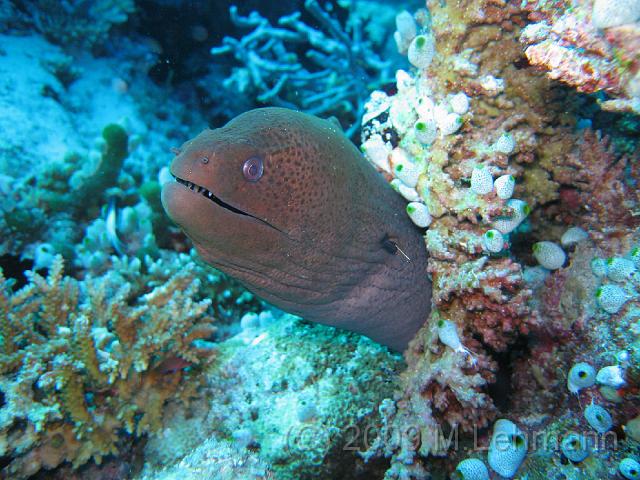 IMG_2365.JPG