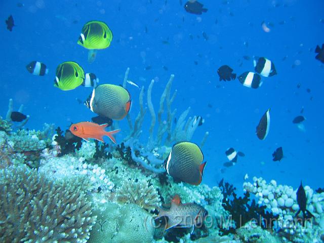IMG_2367.JPG