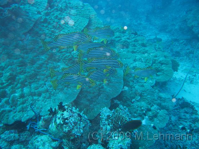IMG_2369.JPG