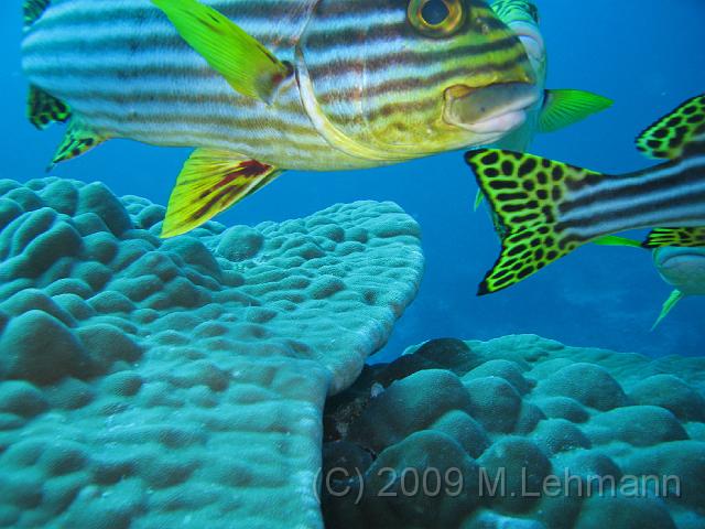 IMG_2373.JPG