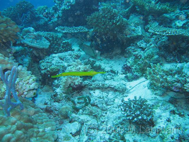 IMG_2374.JPG