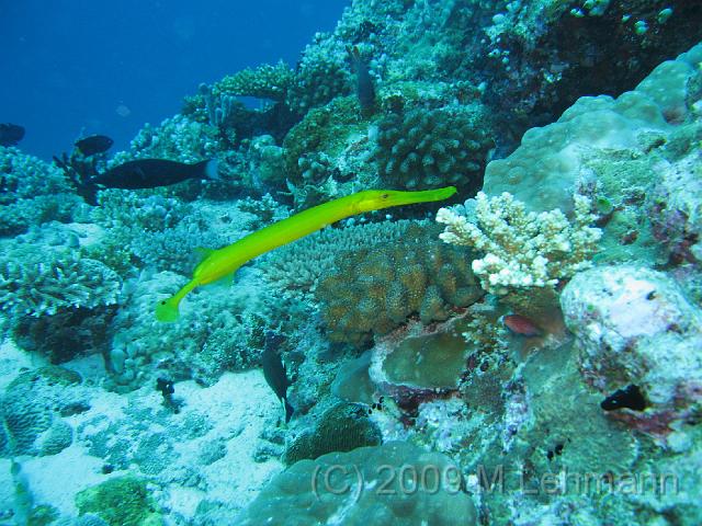 IMG_2377.JPG