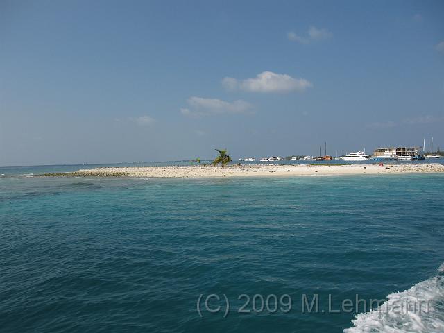 IMG_2411.JPG