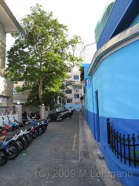 IMG_2420.JPG