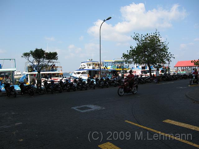IMG_2436.JPG