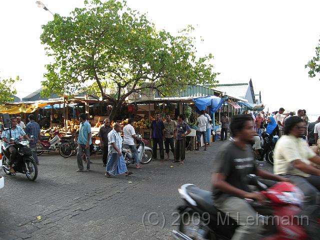 IMG_2438.JPG