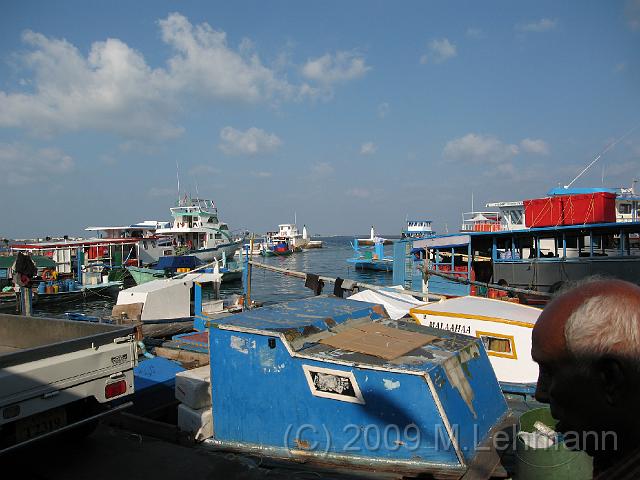 IMG_2439.JPG