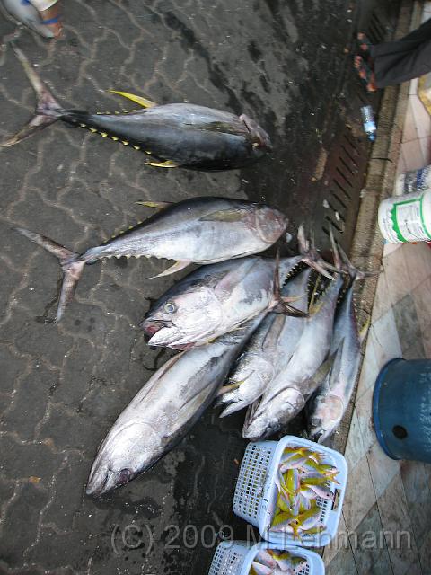 IMG_2446.JPG