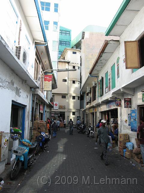 IMG_2459.JPG