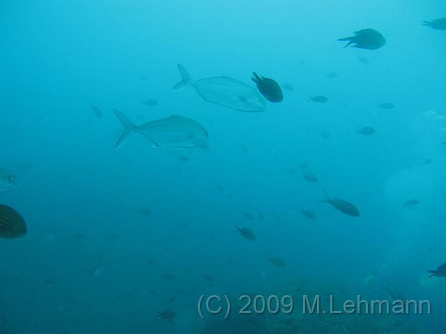 IMG_2628.JPG