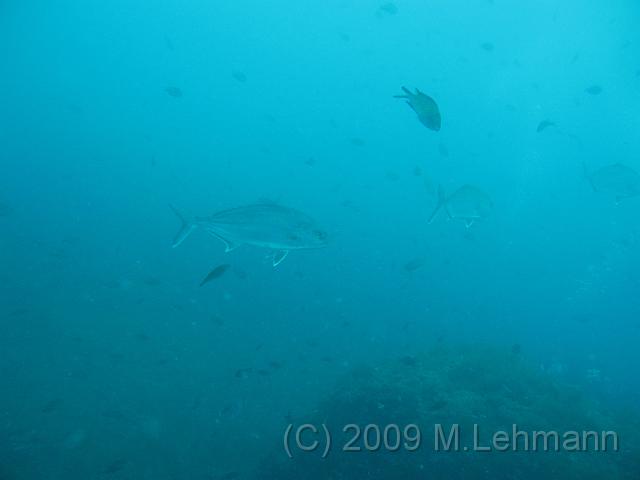 IMG_2629.JPG