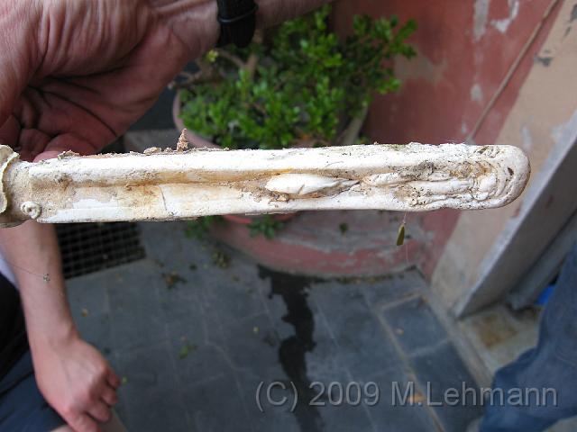 IMG_2639.JPG