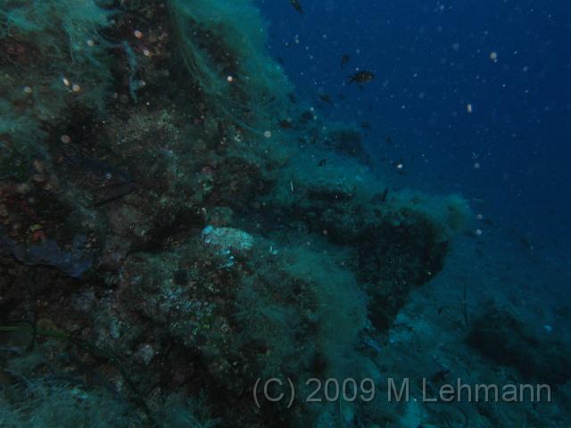 IMG_2922.JPG