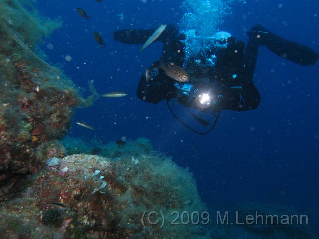 IMG_2925.JPG