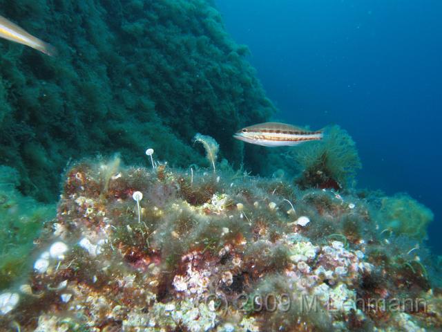 IMG_2949.JPG