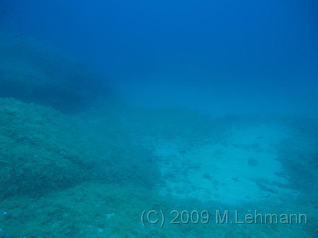IMG_2966.JPG