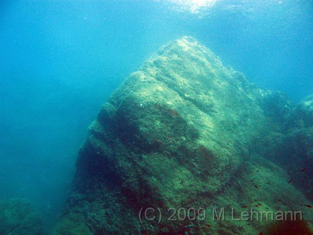 IMG_3049.JPG